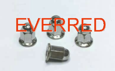 hex flange cap nuts